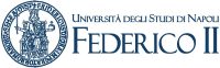 University of Naples Federico II